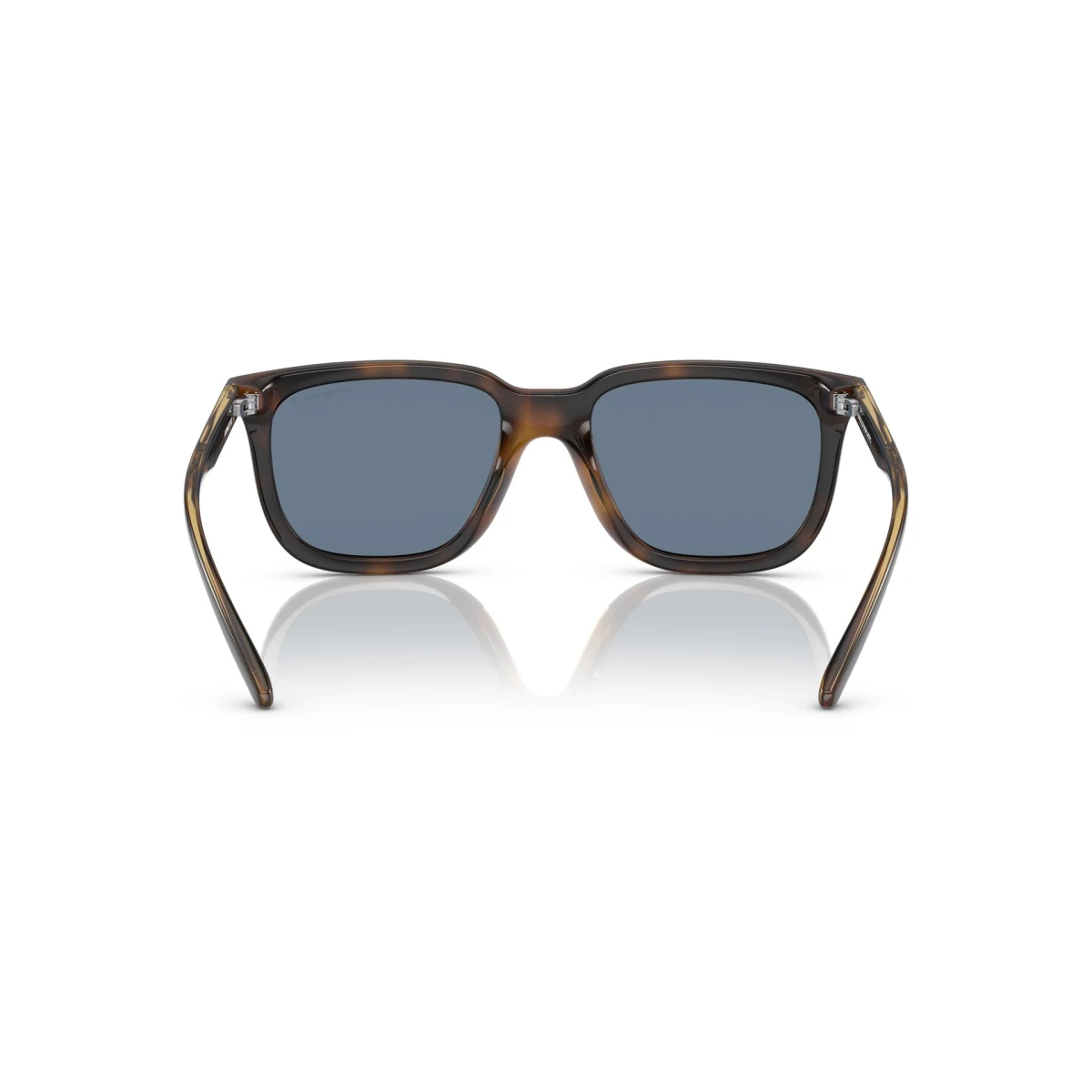 Arnette AN4306 27702V-54-L